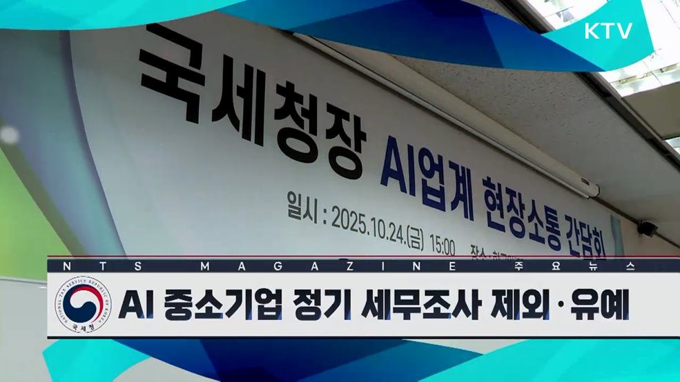 AI 중소기업 정기 세무조사 제외·유예