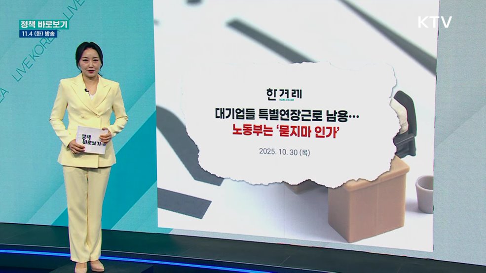 노동부 "법과 지침에 따라 특별연장근로 인가"