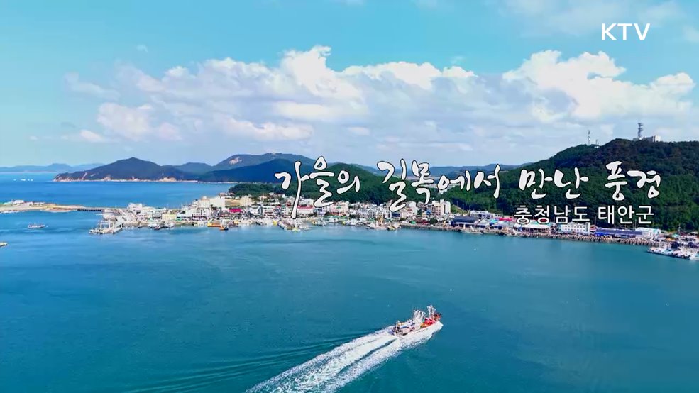 가을의 길목에서 만난 풍경 충청남도 태안군