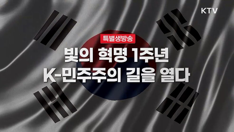 빛의 혁명 1주년, K-민주주의의 길을 열다