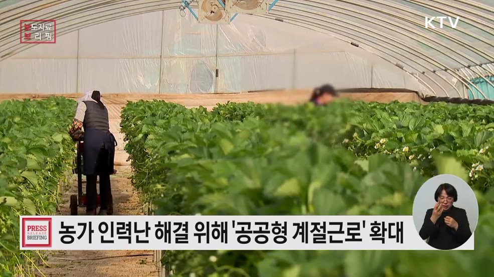 공공형 계절근로 대폭 확대하여 농가 일손부족 해결한다