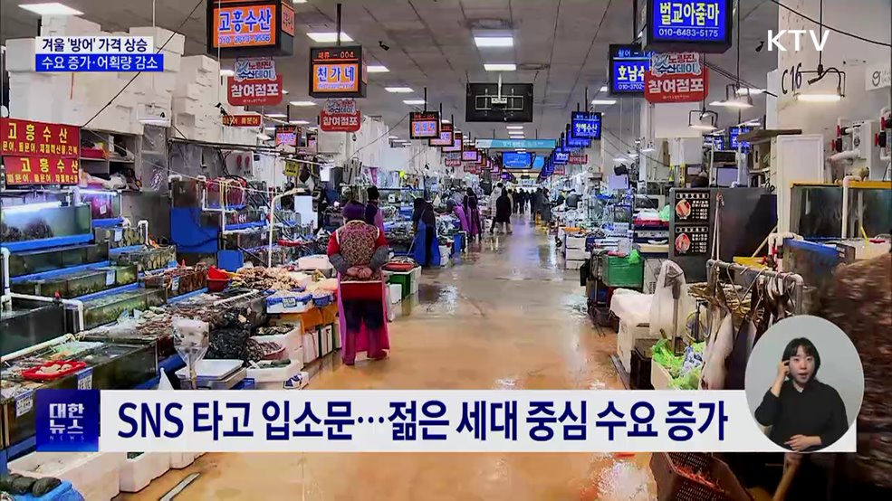 겨울 '방어' 가격 상승···수요 증가·어획량 감소