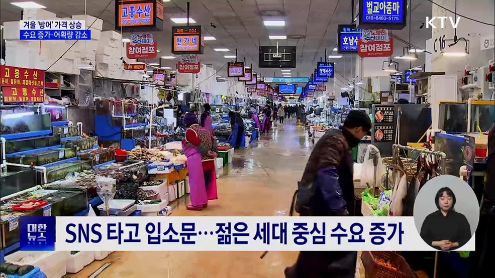 겨울 '방어' 가격 상승···수요 증가·어획량 감소