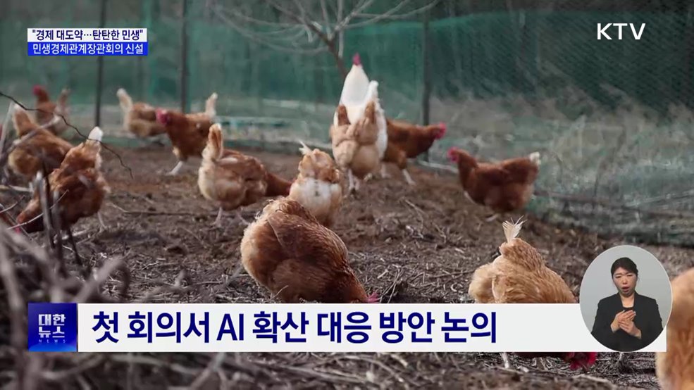 민생경제관계장관회의 신설···신선란 224만 개 수입