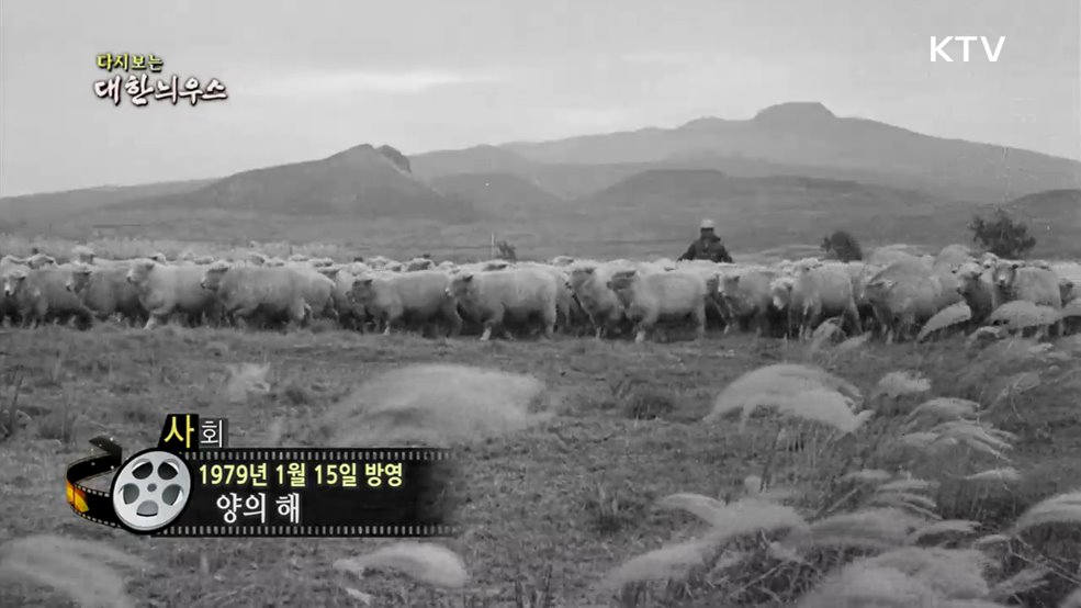 다시보는 대한늬우스 (79. 1. 15.)