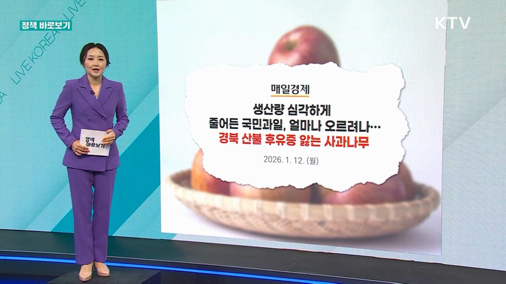 정책 바로보기 (781회)