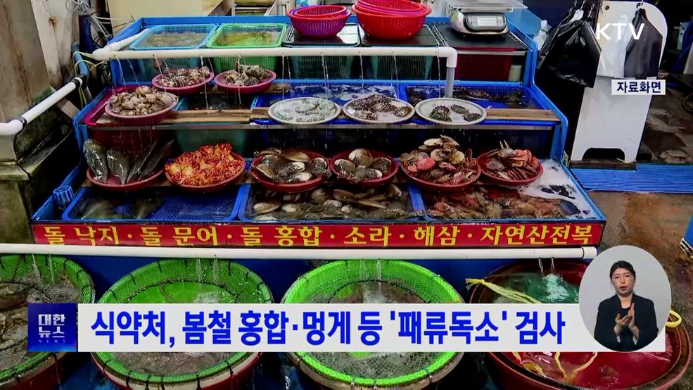 식약처, 봄철 홍합·멍게 등 '패류독소' 검사