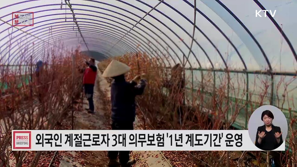 농식품부 외국인 계절근로자 3대 의무보험 1년의 준비기간 부여