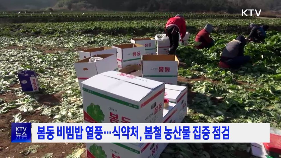 봄동 비빔밥 열풍···식약처, 봄철 농산물 집중 점검