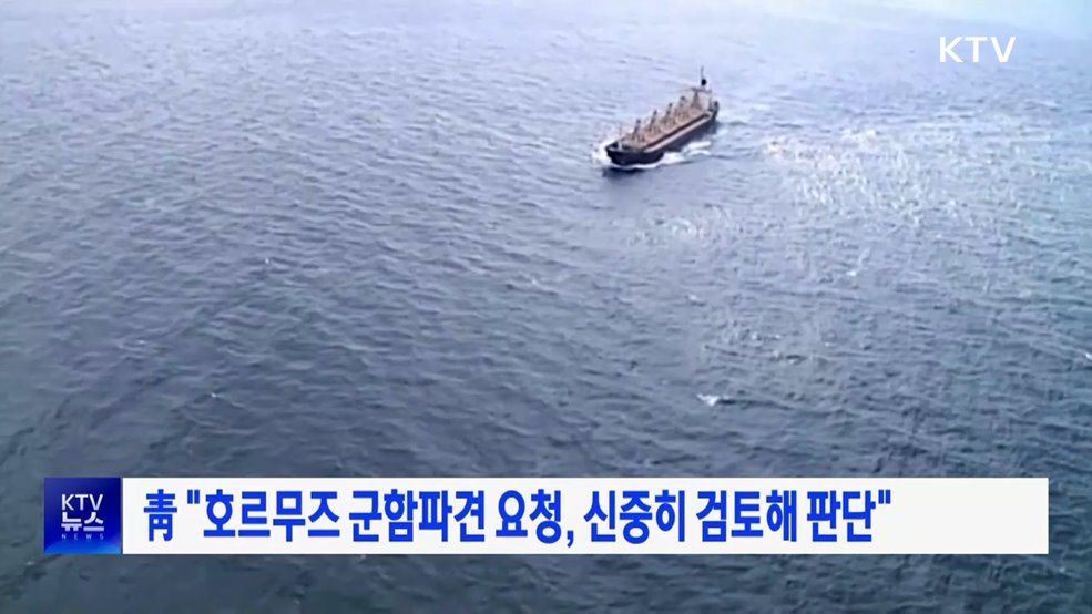 靑 "호르무즈 군함파견 요청, 신중히 검토해 판단"