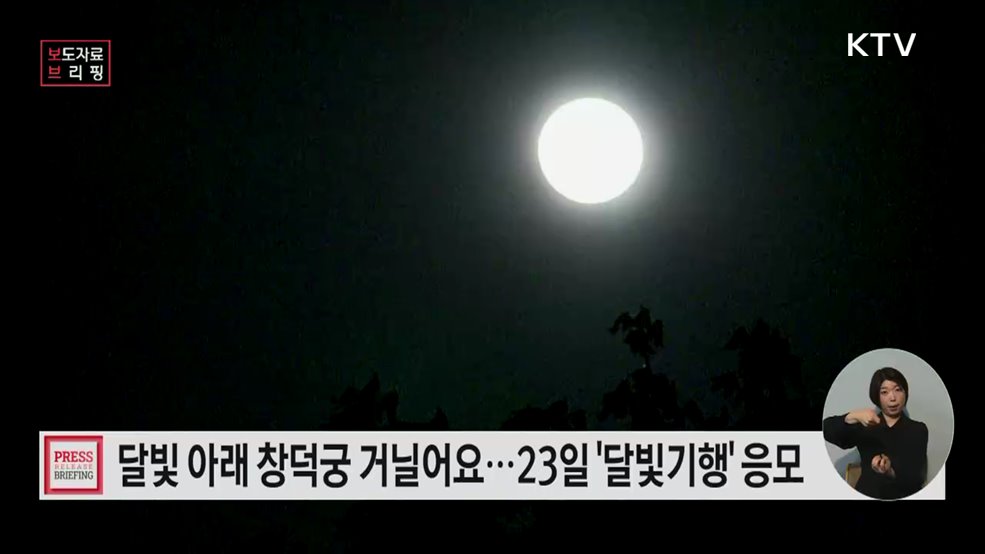 봄날 밤 궁궐의 정취를 가득 담은 '창덕궁 달빛기행'