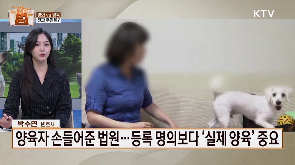 잘 사는 법(法) (71회)