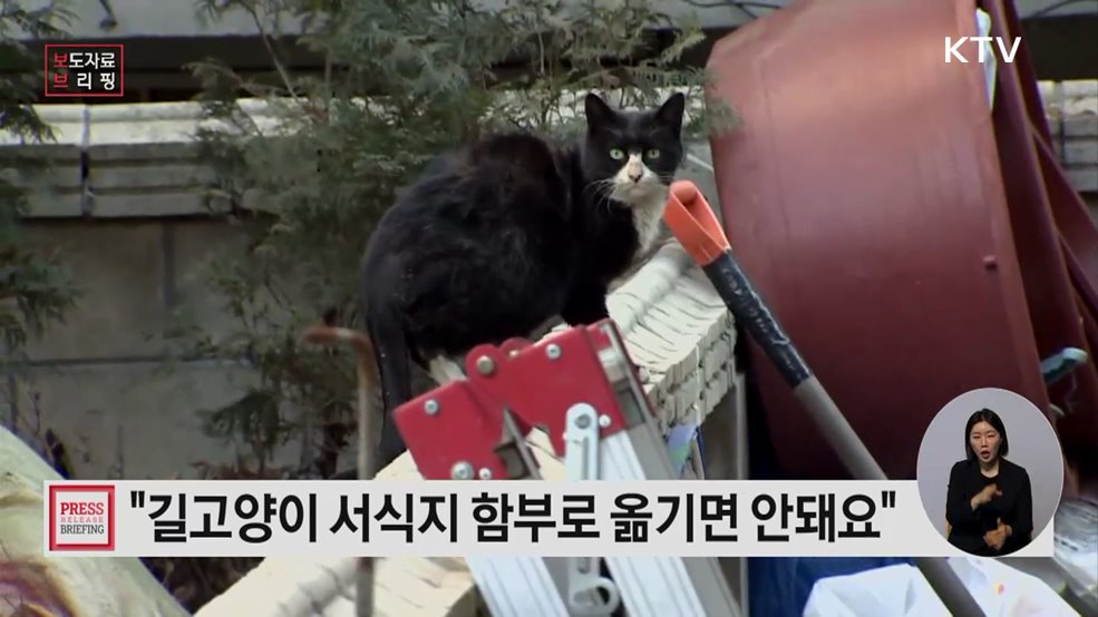 더불어 함께 살기 '길고양이 돌봄 가이드라인' 개정