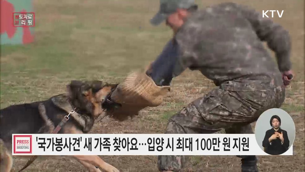 군견, 경찰견, 탐지견, 119구조견의 행복한 견(犬)생 2막을 지원합니다!