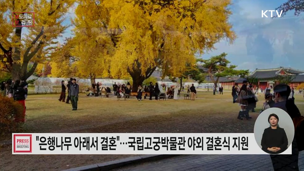 올가을 국립고궁박물관 은행나무 밑에서 결혼하세요