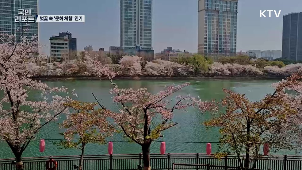 벚꽃 속 문화 체험하는 '석촌호수 벚꽃 축제' 인기