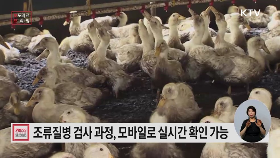 언제 어디서나 바로 확인 '스마트 조류질병 진단 알림' 서비스 개시