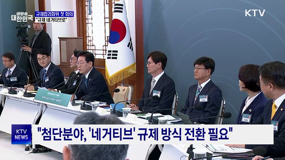 "규제 '네거티브' 방식 전환해야···대규모 특구도 필요"