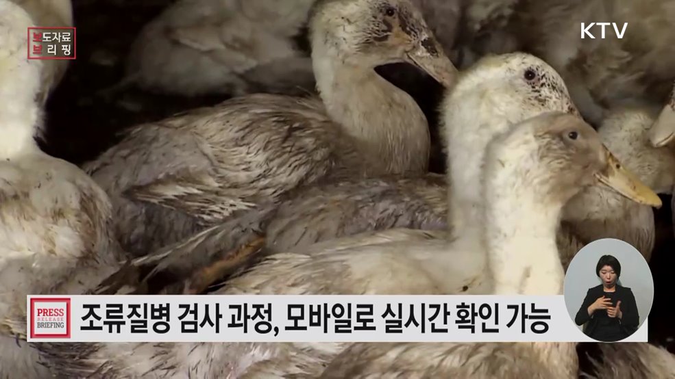 언제 어디서나 바로 확인 '스마트 조류질병 진단 알림' 서비스 개시