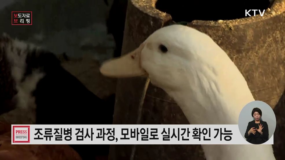 언제 어디서나 바로 확인 '스마트 조류질병 진단 알림' 서비스 개시