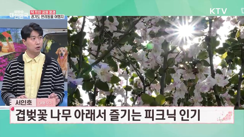 반려동물 천만 시대! 반려동물과 함께 떠나는 여행 [여행을 떠나요]