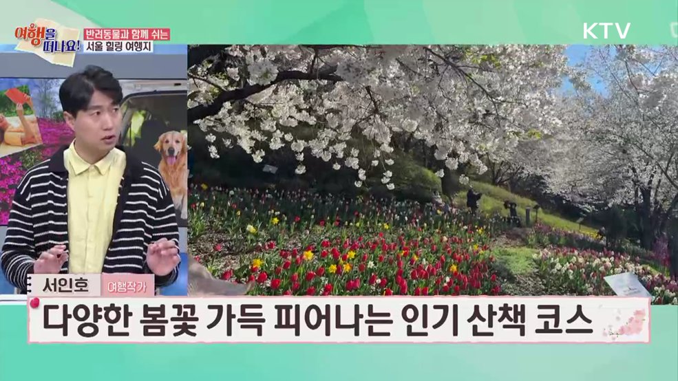 여행을 떠나요 (71회)