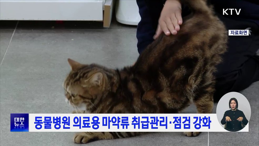 동물병원 의료용 마약류 취급관리·점검 강화