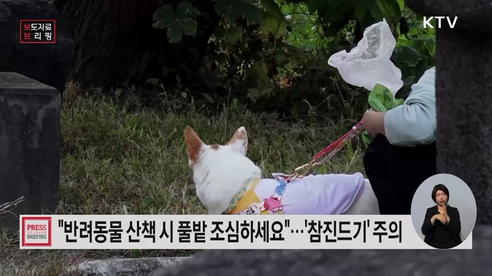 봄철의 불청객 '참진드기' 활동 본격화 반려동물과 가축 건강 관리는 필수