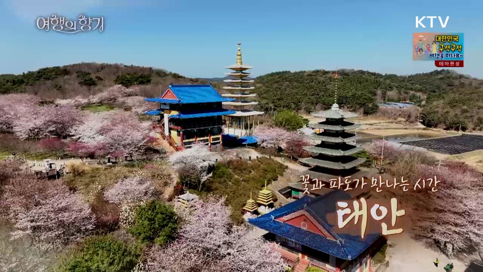 꽃과 파도가 만나는 시간 '태안'
