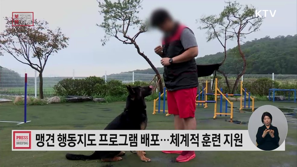 맹견, 개물림 사고견 행동지도 프로그램 개발 및 보급