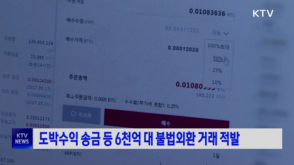 도박수익 송금 등 6천억 대 불법외환 거래 적발