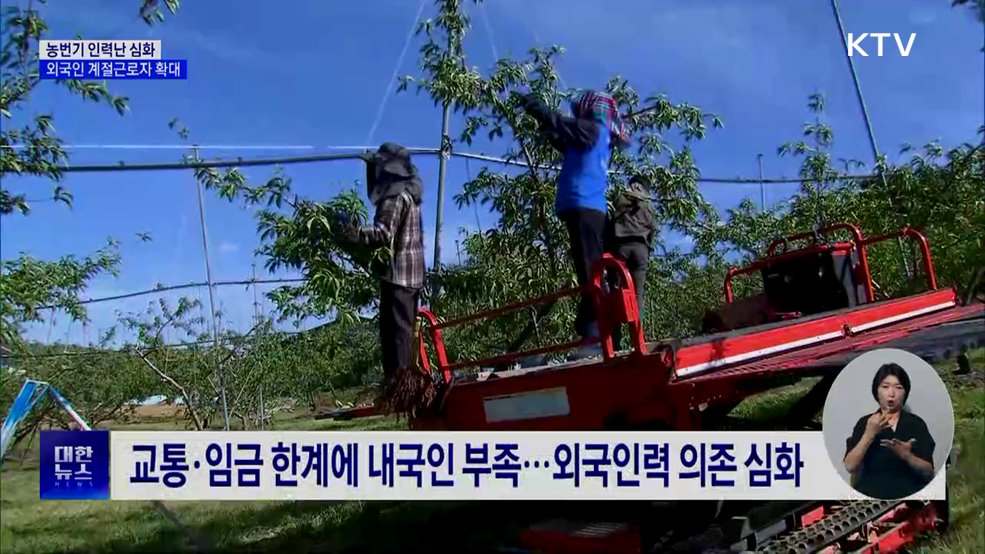 농번기마다 '인력 전쟁'···외국인 계절근로 확대