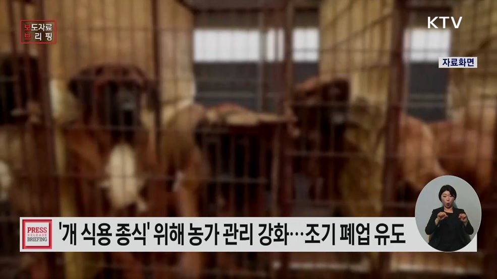 개 식용 완전 종식을 위한 하절기 이행 관리 강화