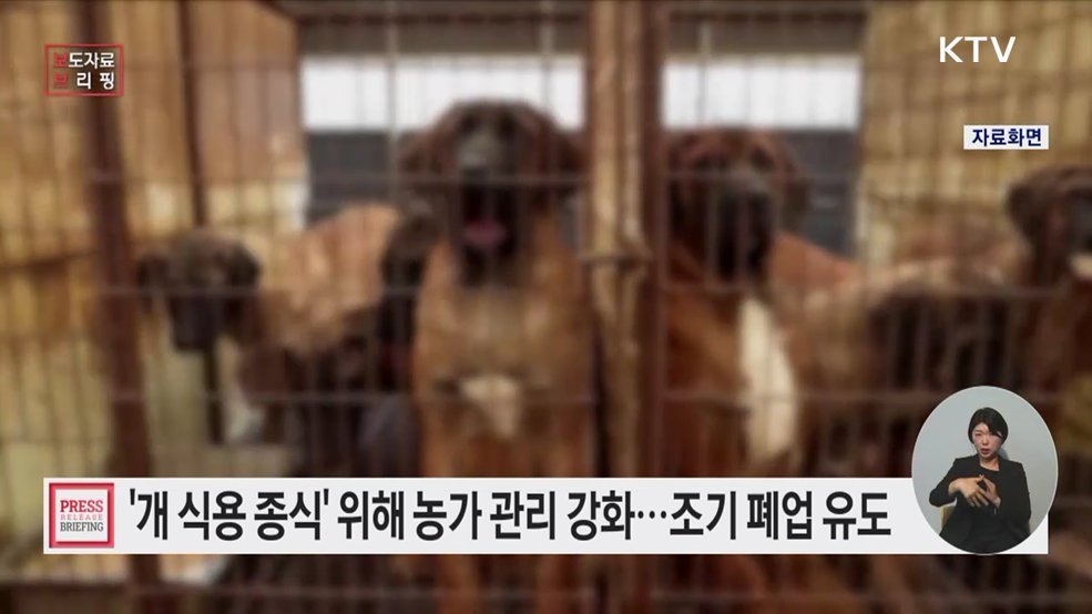 개 식용 완전 종식을 위한 하절기 이행 관리 강화