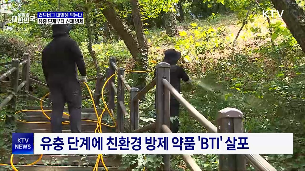 러브버그 대발생 막는다···유충 단계부터 선제 방제