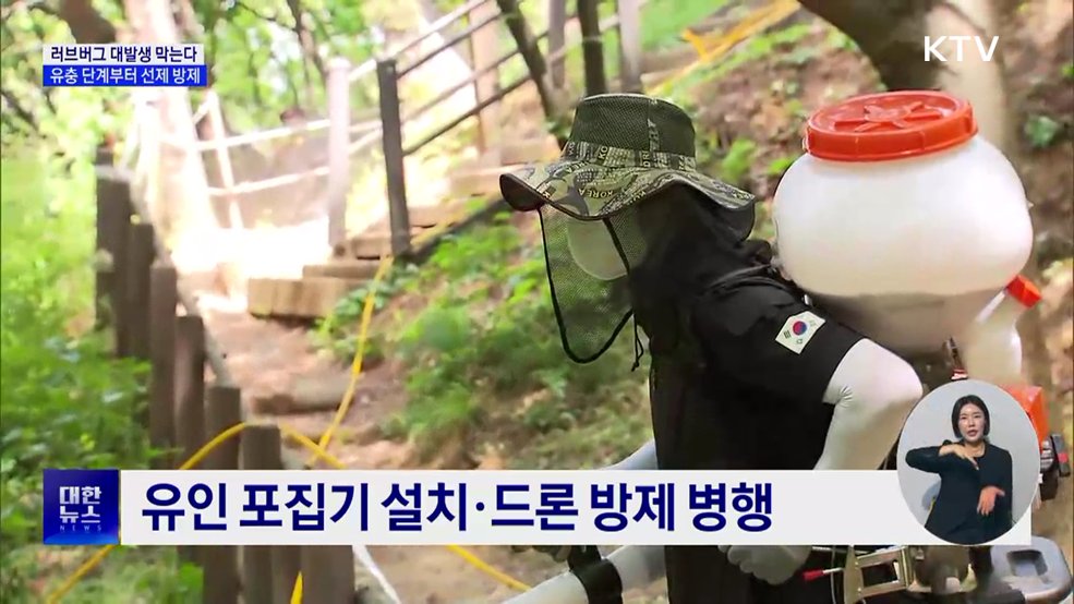 러브버그 대발생 막는다···유충 단계부터 선제 방제