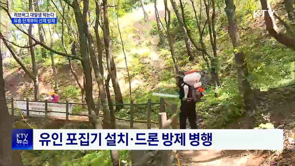 러브버그 대발생 막는다···유충 단계부터 선제 방제