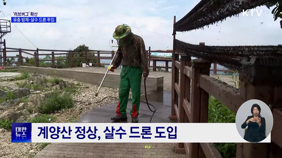 '러브버그' 경기 북부까지 확산···유충 방제·살수 드론 투입