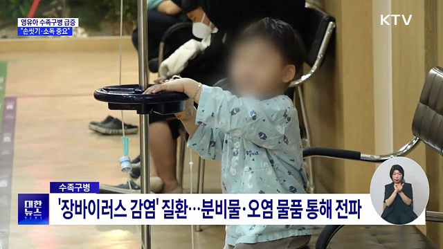 6세 이하 영유아 수족구병 급증···"손씻기·소독 중요"