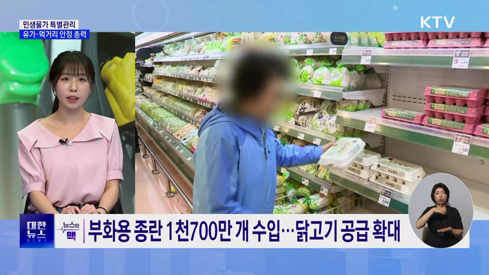 정부, 민생물가 특별관리···유가·먹거리 전방위 대응 [뉴스의 맥]