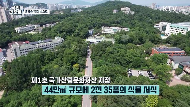 33년 만에 다시 열린 '홍릉숲' 나들이객 북적