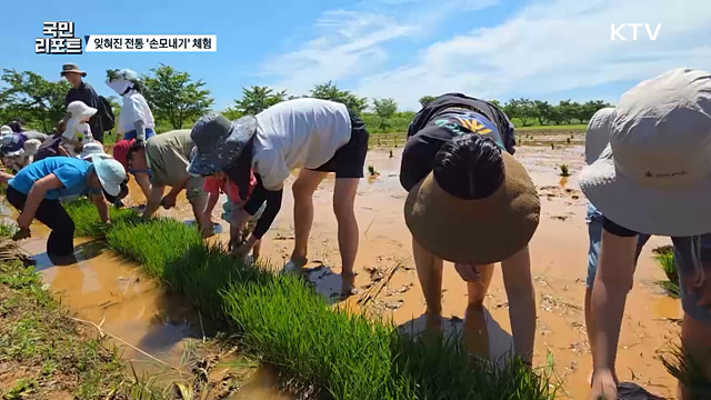 전통 손모내기 체험, 농사의 소중함 일깨워