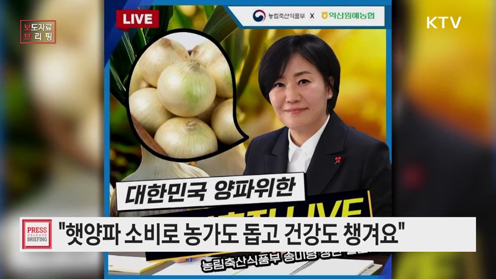 가격이 쌀 때 먹는다 혈관청소부 양파가 최고