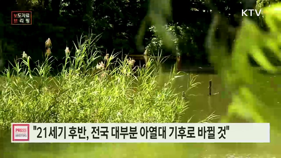 21세기 후반, 강원영서 제외한 전국 대부분 지역 아열대 기후로 바뀔 수 있다