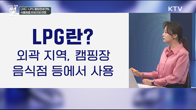 LNG·LPG 할당관세 0%···식품원료 관세 인하 연장