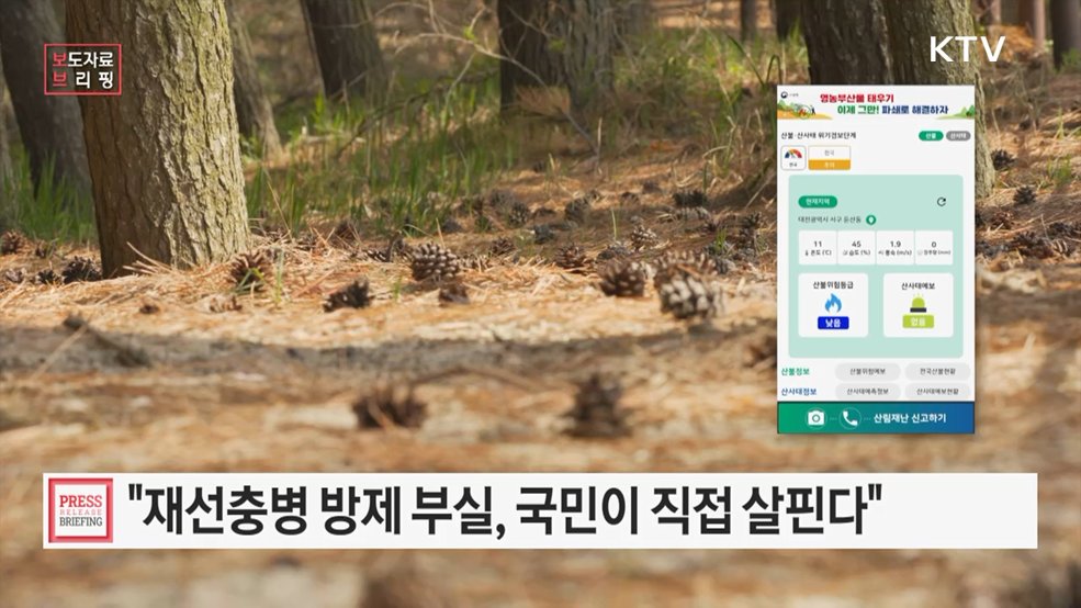 소나무재선충병 방제 부실 여부, 국민이 직접 살핀다