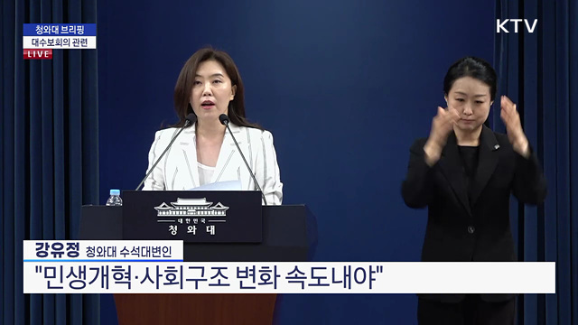청와대 브리핑 - 대수보회의 관련