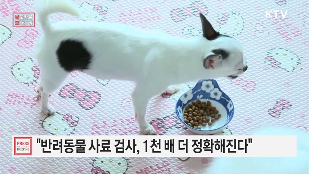 반려동물 사료, 독소부터 미량 비타민까지 1,000배 정밀하게 잡아낸다.