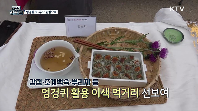 '영양소 가득' 보랏빛 엉겅퀴, K-푸드 밥상으로