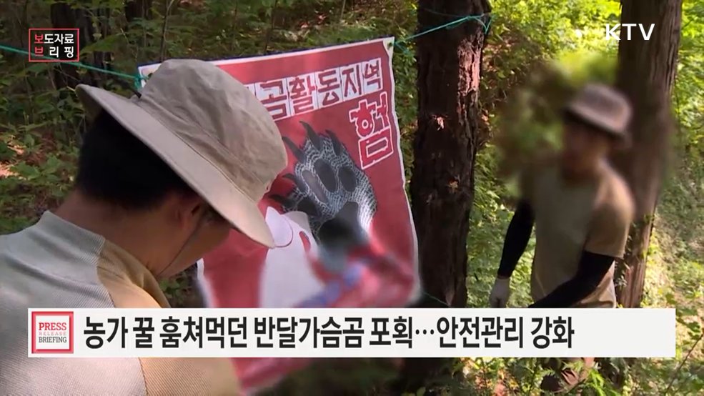 국립공원공단, 반달가슴곰 안전 문자서비스 등 충돌예방 활동 강화